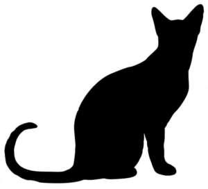 Superstition Chat noir
